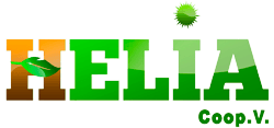 Helia Luz